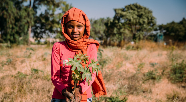 Child in field with hope