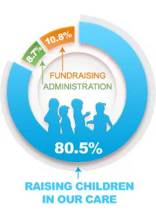 sponsorships percent used for programming